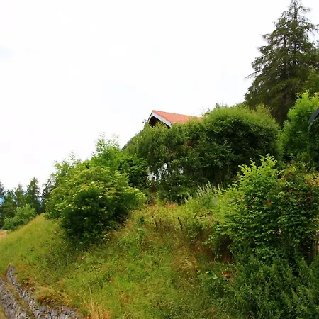 Diablerets Lift & Mountain דירה ויסונה