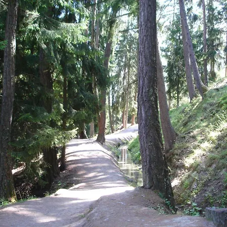 Diablerets Lift & Mountain 公寓 维松纳