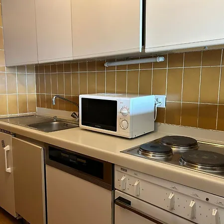 公寓 Diablerets Lift & Mountain 维松纳